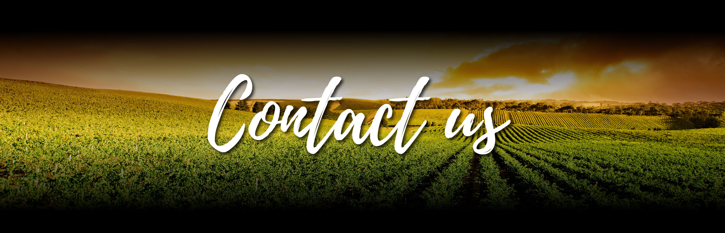 Contact Us - Harvest Sensations exotic fruits and vegetables distributor, Miami and Los Angeles